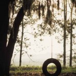 Gone are the Days….