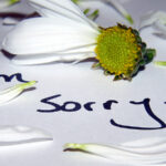 I am Sorry in all Languges