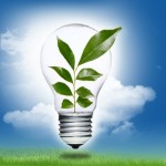 Learning from Unexpected sources of Innovation