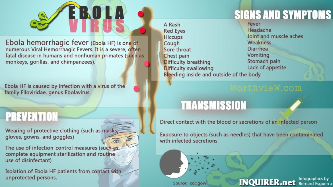 All You Need to Know about Ebola Virus: Symptoms, Treatment, and Prevention