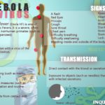 All You Need to Know about Ebola Virus: Symptoms, Treatment, and Prevention