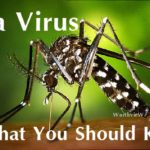 All about Zika Virus : Symptoms – Diagnosis – Prevention