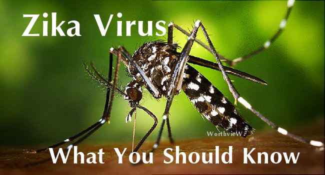 All about Zika Virus : Symptoms – Diagnosis – Prevention