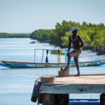 How to Catch a Mullet Fish