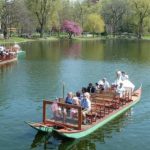 How to Plan Your Massachusetts Vacation