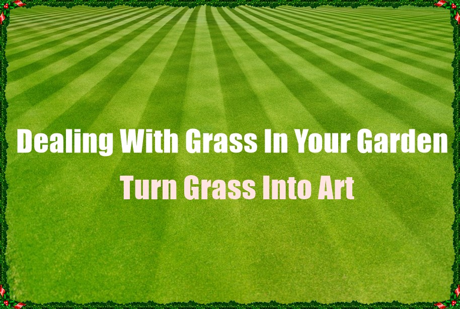 Dealing With Grass In Your Garden: Turn Grass Into Art