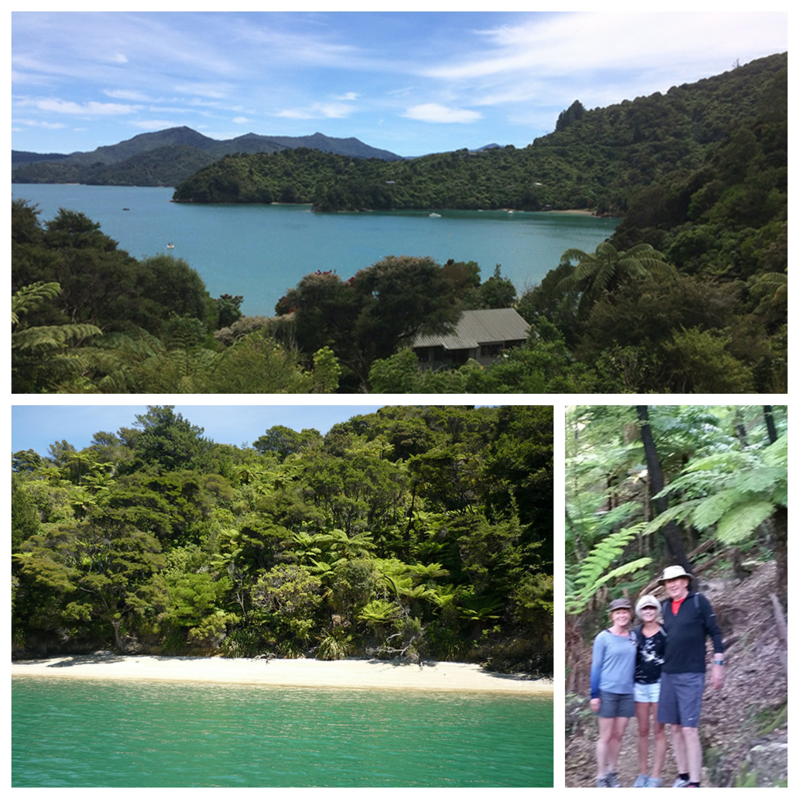 3 Must Do Activities in The Marlborough Sounds