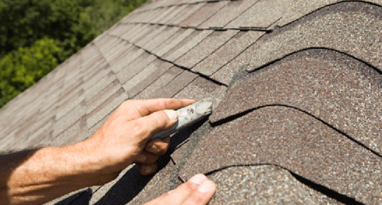 The Importance of Regular Roofing Maintenance and Repairs