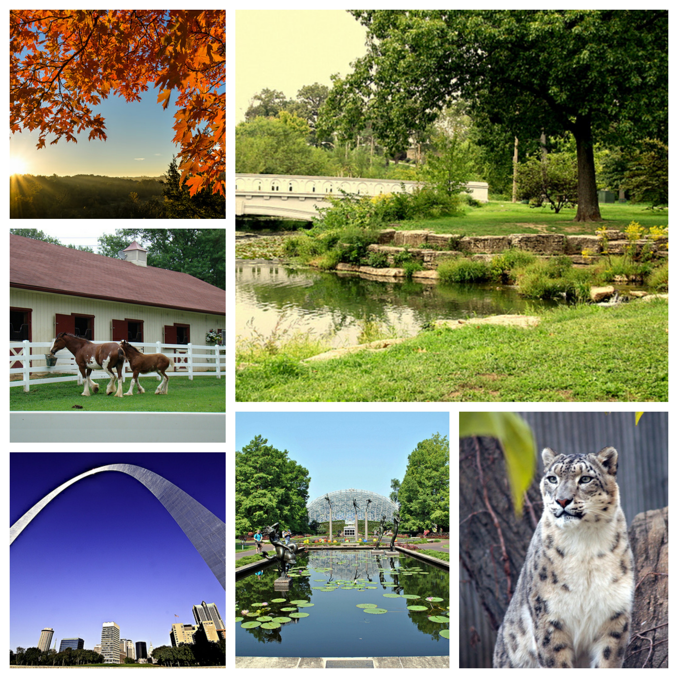 6 Best Outdoor Activities in St. Louis