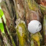 By the Book: Golf’s Weirdest Rules
