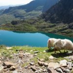 Navigating North Wales