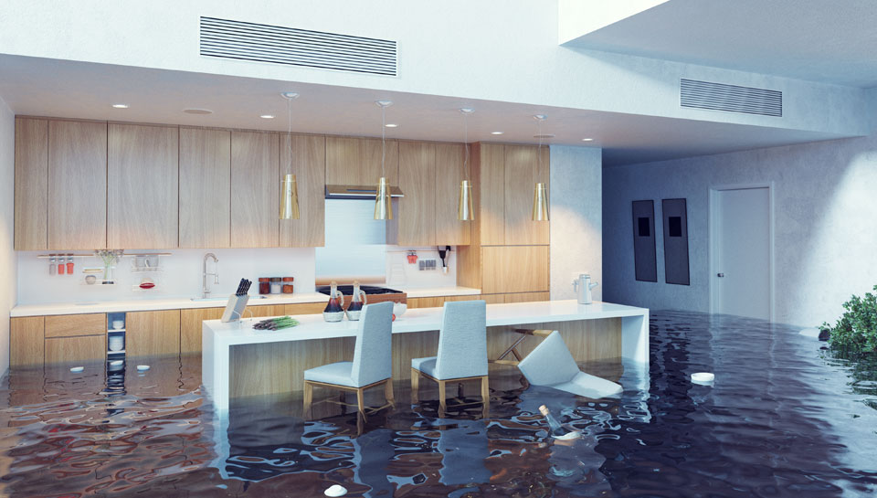 Advantages of Hiring Professional Water Damage Restoration Companies