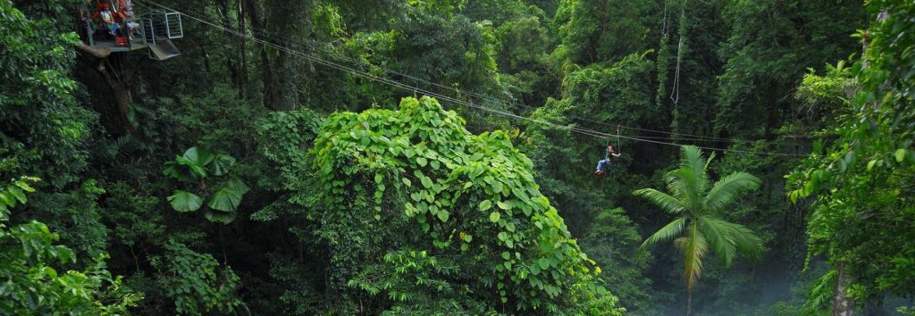 Daintree National Park