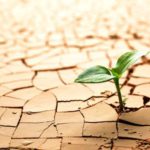 Land Degradation – How Can We Solve the Problem?