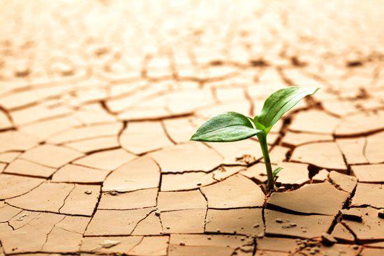 Land Degradation – How Can We Solve the Problem?