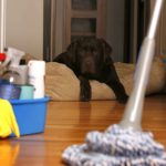 Your Cleanest Home Ever! Our Best Cleaning Advice, Tips & Ideas