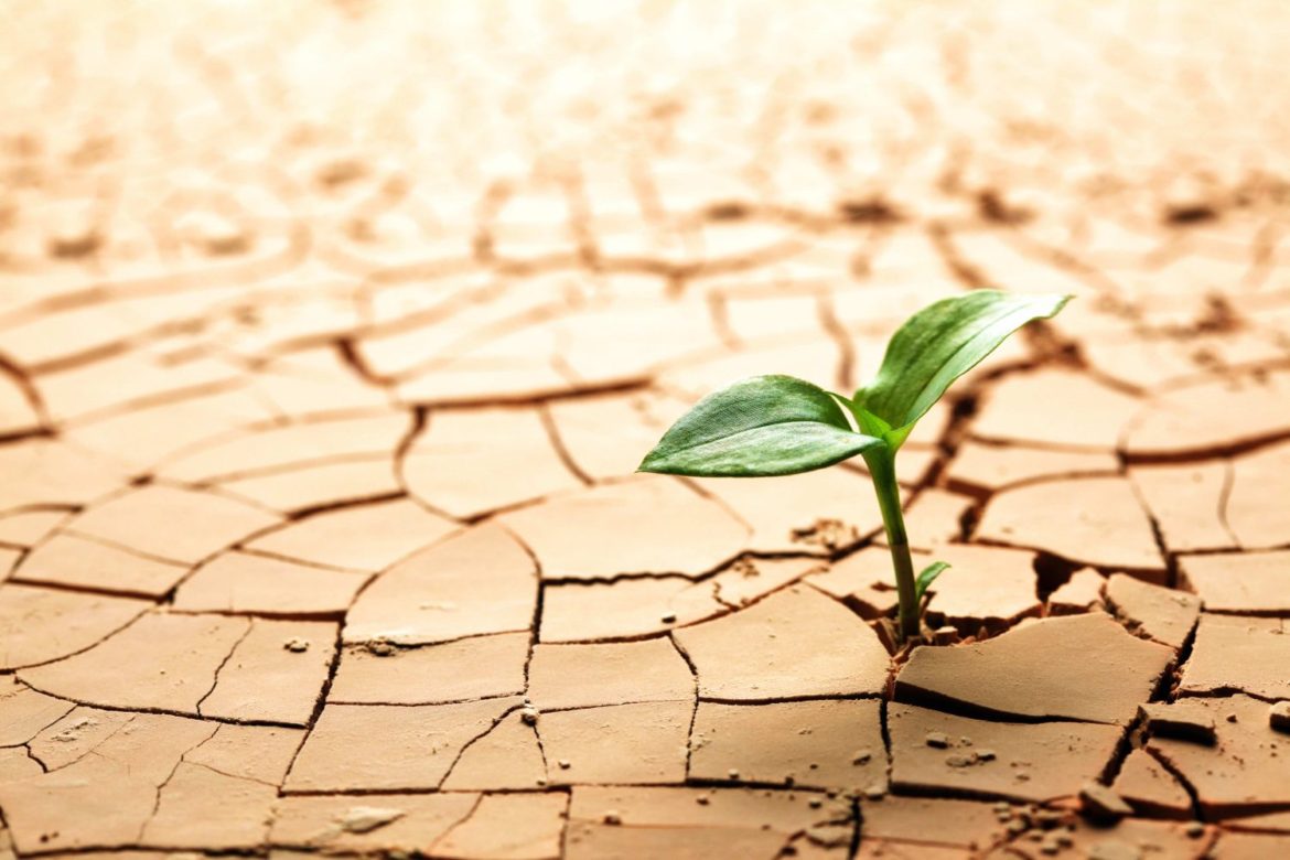 How Can We Stop Our Land from Being Degraded