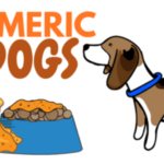 Can You Use Turmeric in Your Dog’s Food? Here’s What You Should Know!