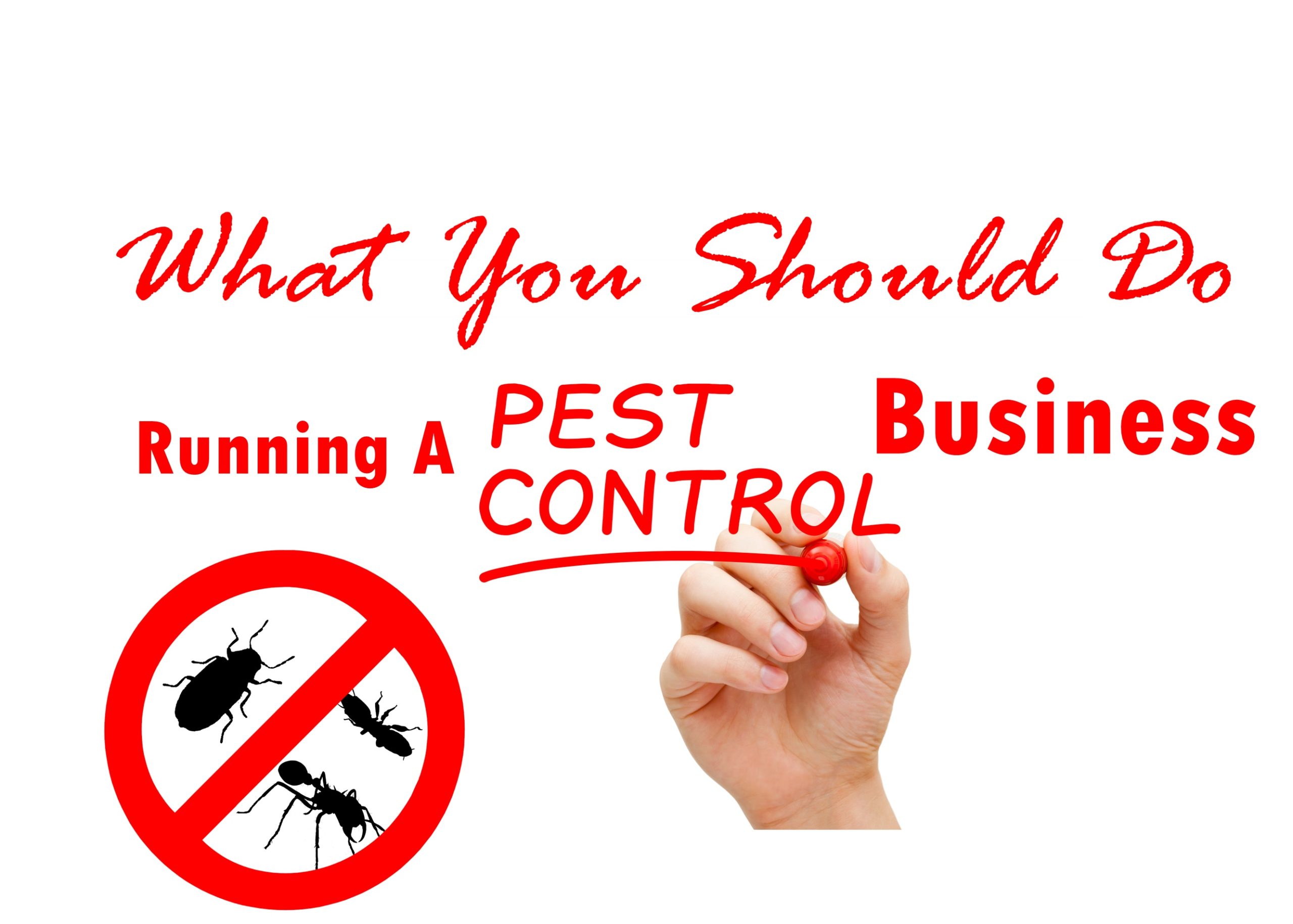 Running a Pest Control Business – What You Should Do
