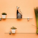 10 Budget Friendly Home Improvement Ideas to Get Started on your 2018