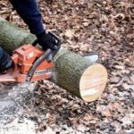 These Tips Helps You to Select the Right Chainsaw