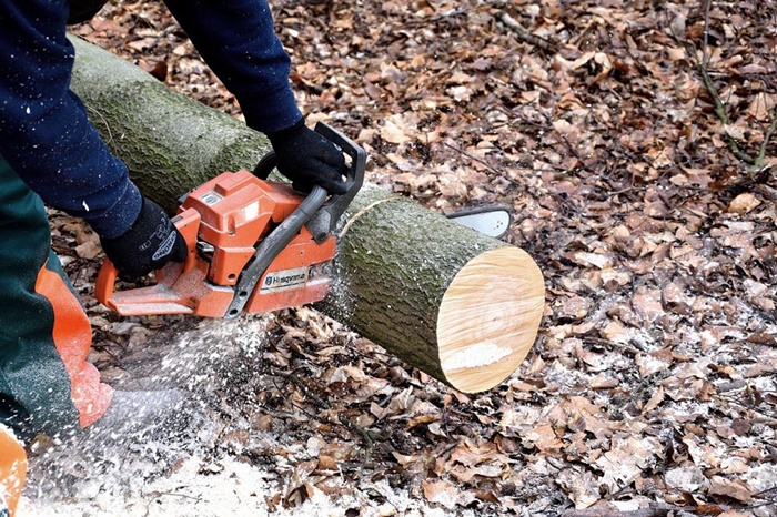 These Tips Helps You to Select the Right Chainsaw
