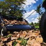 How to Take Care of your Garden during winter