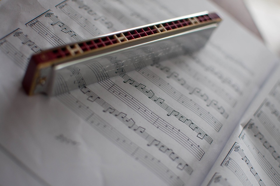 What are the Different Types of Harmonicas?
