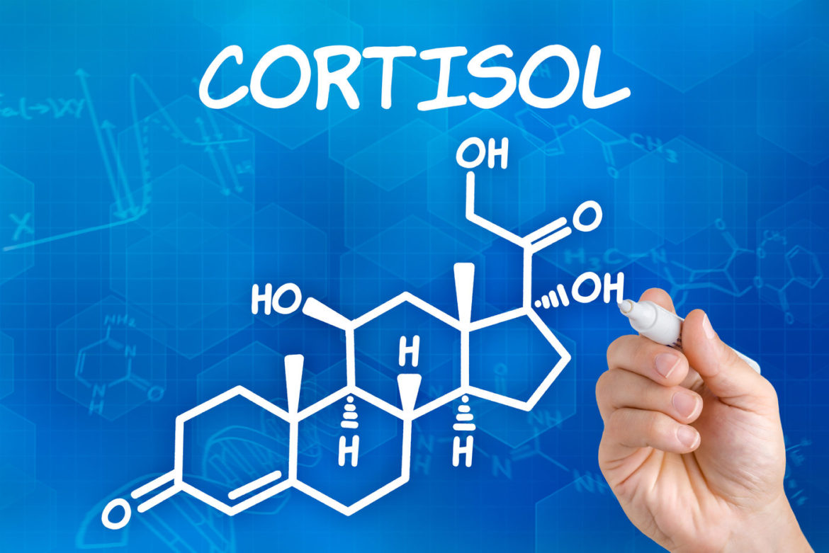 What Is Cortisol And Why Is It Important To Your Body?