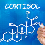 What Is Cortisol And Why Is It Important To Your Body?