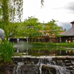 Why Should You Invest in a Quality Pond Pump?