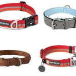 4 Things to Look for When Getting a Dog Collar