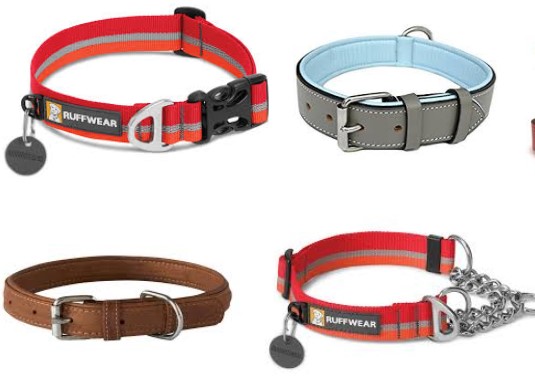 4 Things to Look for When Getting a Dog Collar