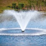 Understanding the Importance of Aerators for Fountains