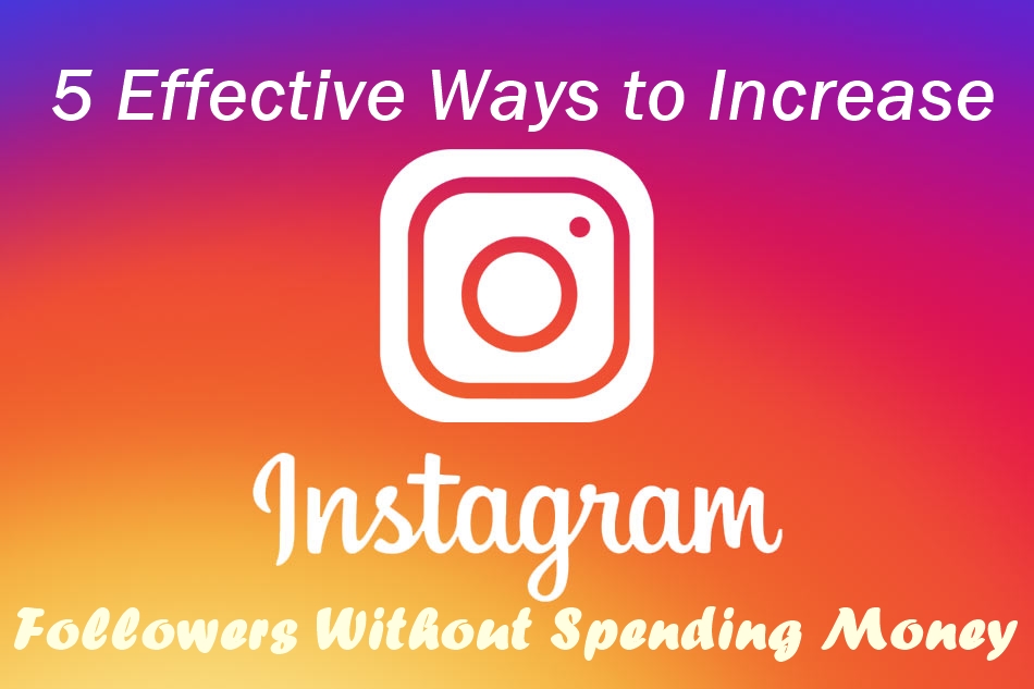 5 Effective Ways to Increase Instagram Followers Without Spending Money