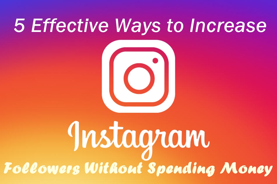 5 Effective Ways to Increase Instagram Followers Without Spending Money