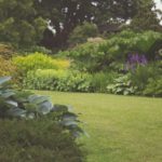 10 Types of Plants You Need to Avoid Planting When Gardening