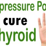 Acupressure Points for Thyroid – Hypothyroidism and Hyperthyroidism