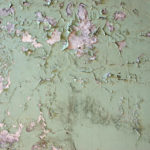 Housing Disrepair and Dampness