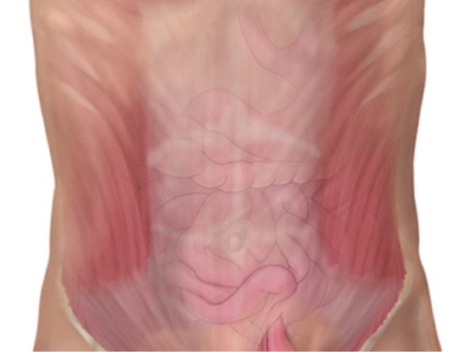 Umbilical Hernia Operation Made Easy