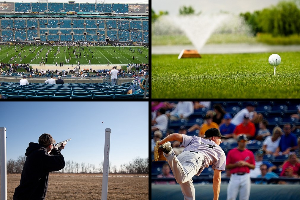 4 Different Spectator Sports to Check Out in Jacksonville