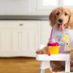 6 Essential Dos and Don’ts: Giving Food Treats To Your Dog