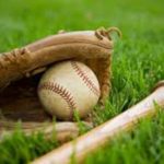 How to choose the best wood bats