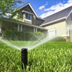 Tips to Improve Your Lawn and Make it Look Impressive
