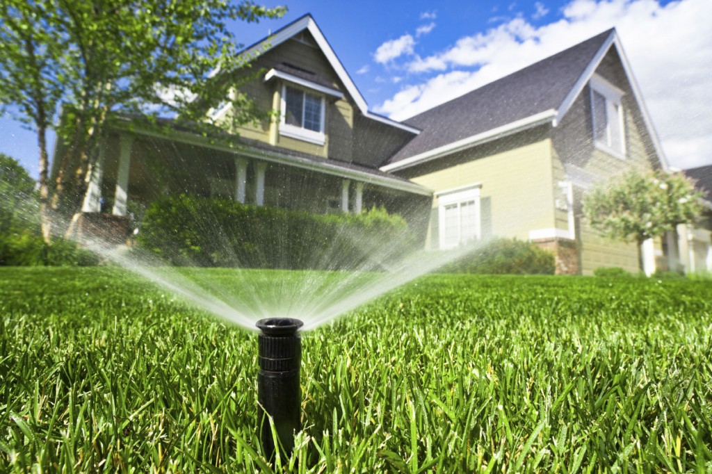 Lawn Irrigation