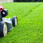 Lawn Care Tips For Spring