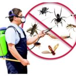 Protect your customers and your reputation with pest control