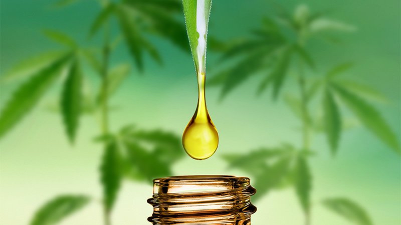 What is CBD Oil and Will it Show Up in a Drug Test