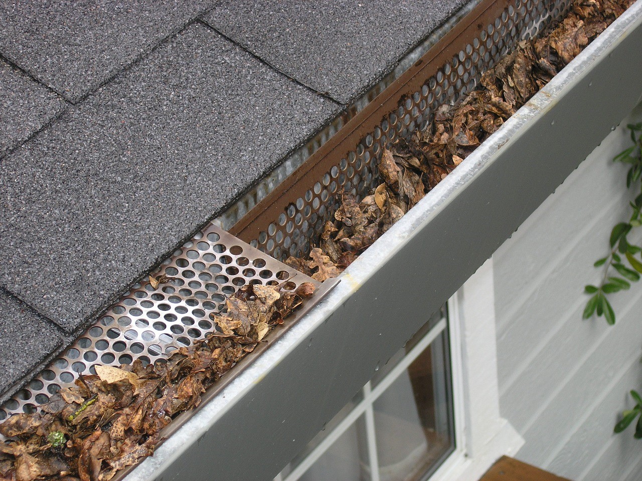5 Reasons You Need Leaf Gutter Guards for Your Home