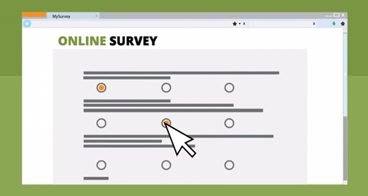 Online Surveys
